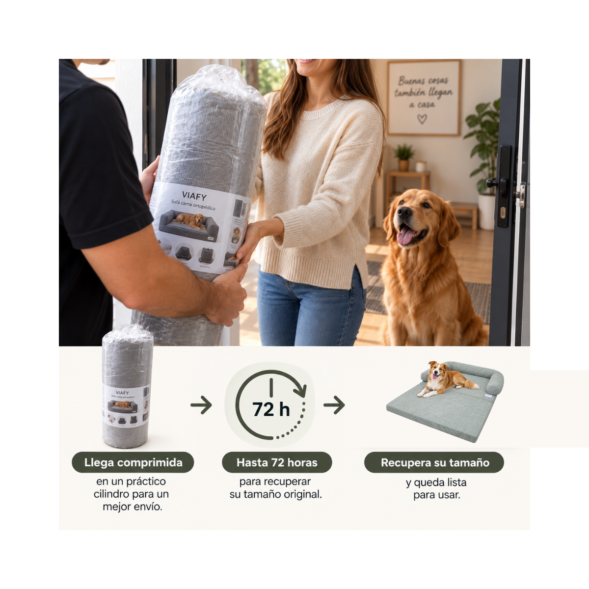 Caniche acostado sobre cama sof&aacute; para perros, texto distribuye el peso de forma uniforme